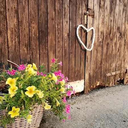 Apartamento Boutique Het Stalhuys *