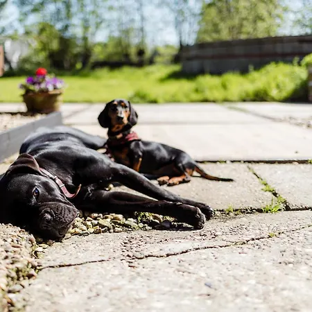 Boutique Het Stalhuys Lägenhet *
