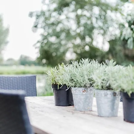 Apartamento Boutique Het Stalhuys Reeuwijk