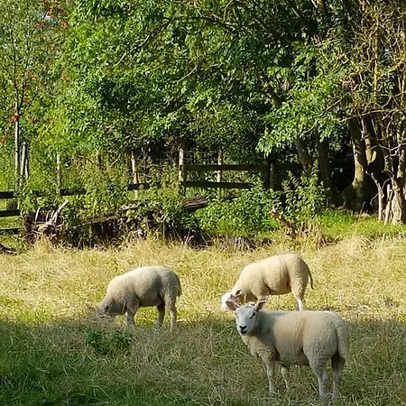 Διαμέρισμα Boutique Het Stalhuys Reeuwijk