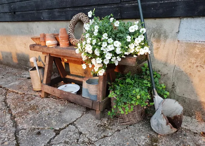 Boutique Het Stalhuys Daire