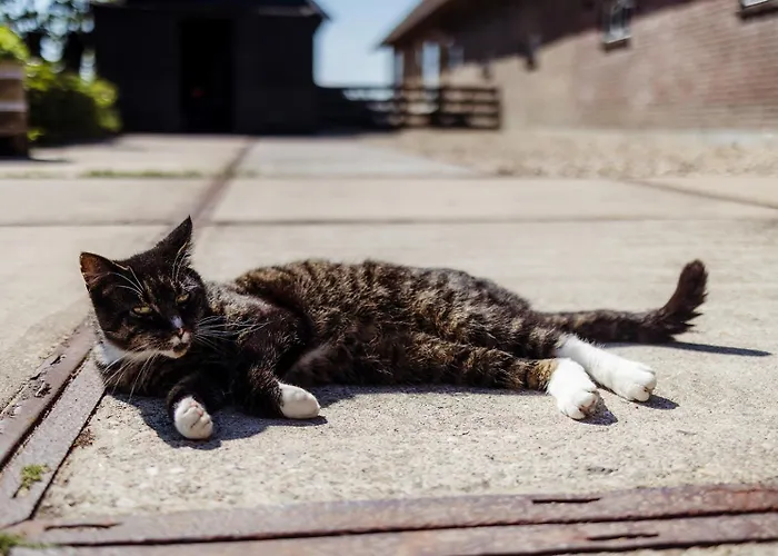 Boutique Het Stalhuys Daire