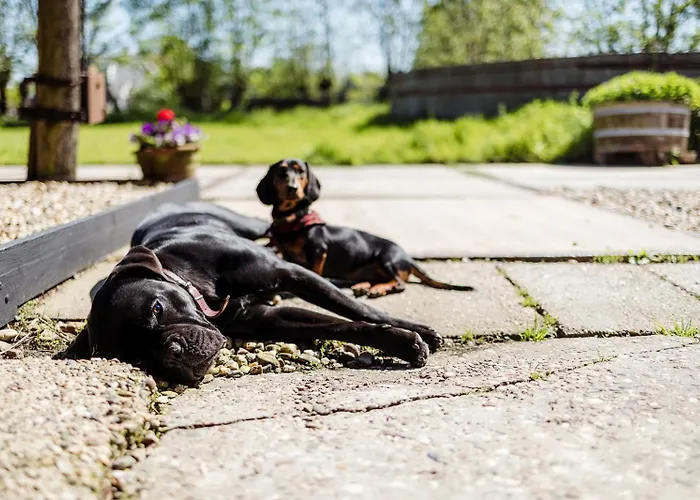 Boutique Het Stalhuys Daire *