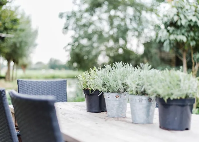 公寓 Boutique Het Stalhuys Reeuwijk