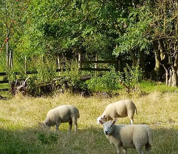 公寓 Boutique Het Stalhuys Reeuwijk