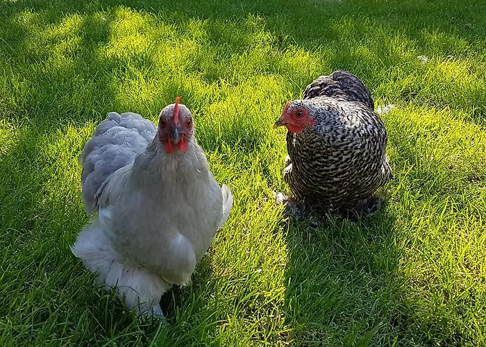 公寓 Boutique Het Stalhuys Reeuwijk