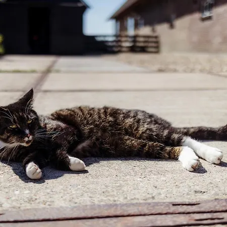 Boutique Het Stalhuys Lejlighed