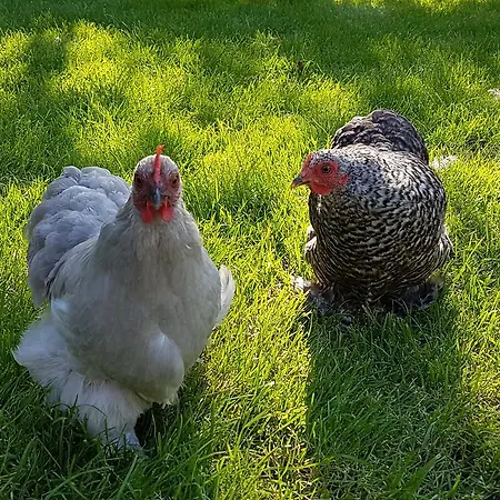 شقة Boutique Het Stalhuys Reeuwijk