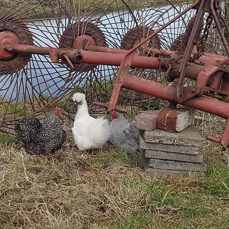 Boutique Het Stalhuys Lejlighed Reeuwijk