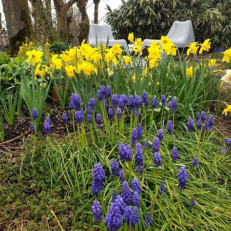 Boutique Het Stalhuys *